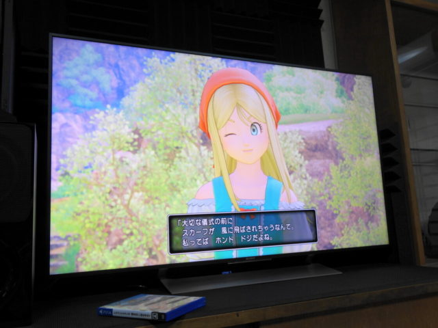 主人公の幼馴染