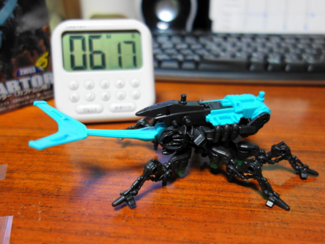 カブターの骨格形態