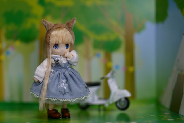 着せ替えさせたchuchu doll HINA