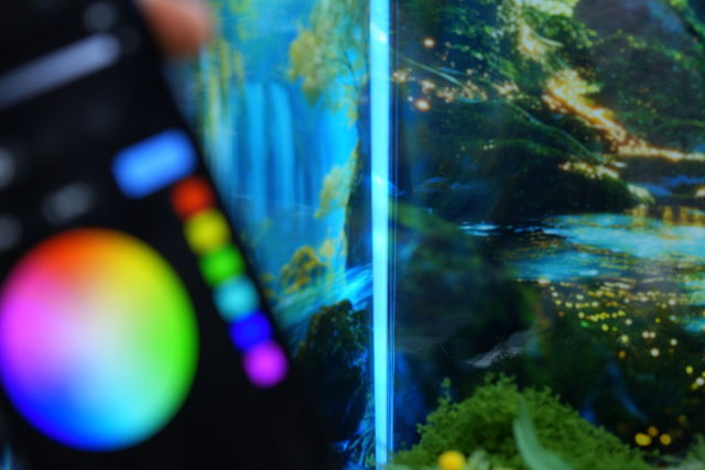 写真のスキマ部分から差し込んだ光